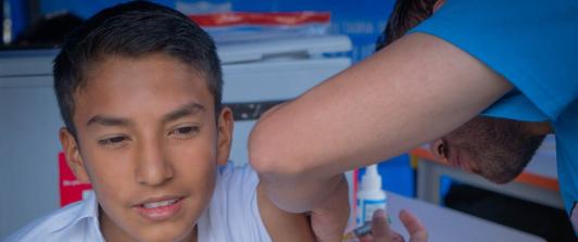 No viaje a zonas endémicas sin vacuna contra la fiebre amarilla.