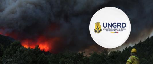 Incendios forestales en Argentina. / Foto: UNGRD y AFP.