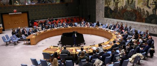 Venezuela: Consejo de Seguridad de la ONU se reunirá este lunes.