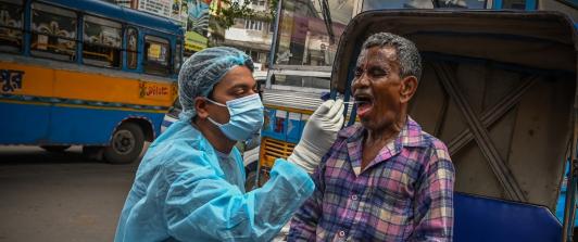 Virus Nipah: alerta en el sudeste asiático pero en el mundo el riesgo es menor