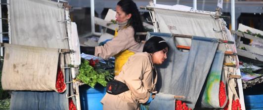 14 de febrero: plazo para consignar cesantías.