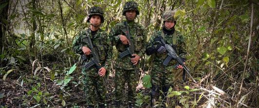 Ejército destruyó 43 explosivos en zona rural de Rovira, Tolima.