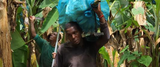 En 2025, la agroindustria en Colombia creció 31%.