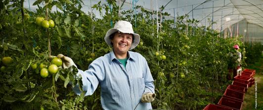 Pacto por el Crédito alcanza 89,6% de la meta y suma $228,1 billones desembolsados