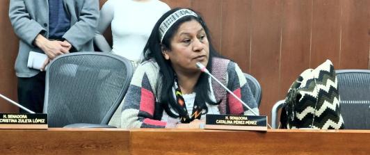 Senadora Aida Quilcue fue secuestrada presuntamente en el tramo de Inza-Totoro en el departamento del Cauca