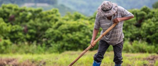 Gobierno presenta cifras históricas en entrega de tierras, producción alimentaria y reducción de pobreza rural