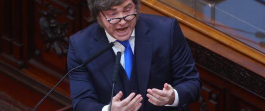 Javier Milei sobre presunto caso de criptomoneda. / Foto: AFP.