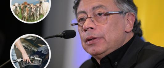 Petro sobre medidas de exportación de carne y gasolina. / Fotos: AFP, Radio Nacional y Freepik.