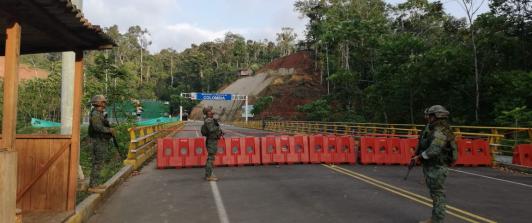 Caen los cultivos de coca en la frontera con Ecuador