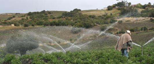 imagen de aspersión de agua en un cultivo en Boyacá