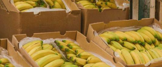 Exportaciones en febrero. / Foto: MinAgricultura.