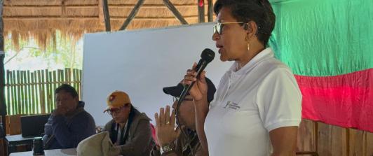 Gobierno ordena medidas especiales para proteger a 31.000 indígenas en el Cauca