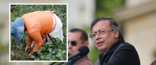 Presidente Petro sobre reducción de cultivos ilícitos. / Fotos: Presidencia y Radio Nacional de Colombia.