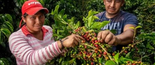 Pobreza multidimensional. / Foto: MinAgricultura.