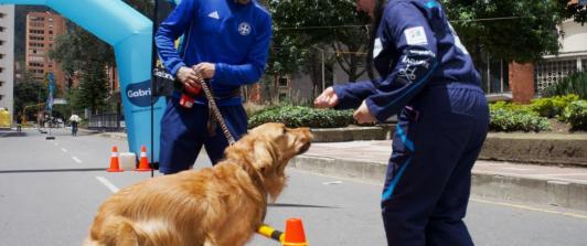 Las ciclovías de Bogotá contarán con nuevas estaciones para mascotas y sus cuidadores, con actividades de bienestar, recreación y nutrición animal disponibles desde mayo y hasta final de año.