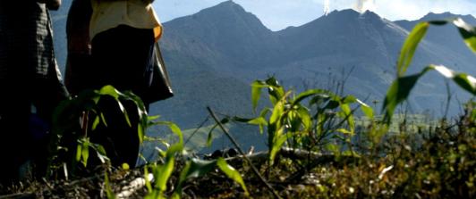 Fenómeno del Niño en el agro. / Foto: AFP.