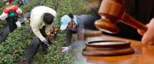 Firmantes de paz piden al Congreso para que apruebe la Jurisdicción Agraria, una deuda histórica con el campo colombiano