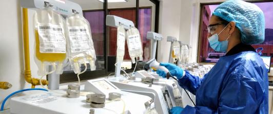 Colombia no registra casos de hantavirus tras alerta internacional por muertes en un crucero en Europa