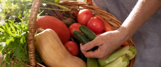 Precios de alimentos en Colombia se mantuvieron estables: Dane