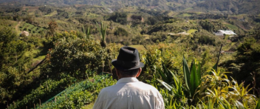 campesino mayor de espaldas, mirando hacia el campo en el horizonte
