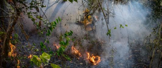 Colombia en alerta por incendios: 114 municipios bajo amenaza