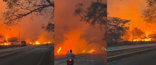Incendios forestales en Tolima dejan cerca de 20 mil hectáreas afectadas