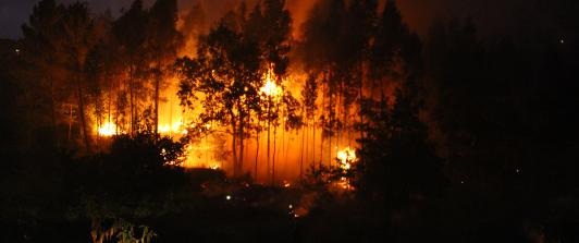 Colombia mantiene la alerta por los incendios forestales.