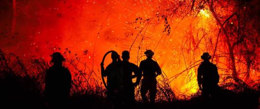 Incendios en Tolima no dan tregua: el corregimiento  de Gualanday concentra la emergencia