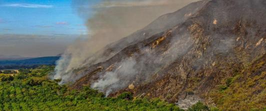 Más de $9.000 millones y ayudas para el campo: así será la recuperación del Tolima tras los incendios forestales