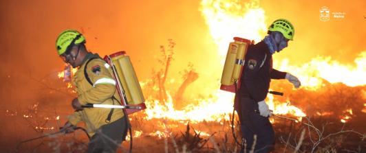 Una colilla, una fogata, un desastre: así puede prevenir incendios forestales
