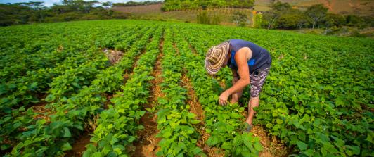 Emergencia económica por El Niño: alistan congelamiento de deudas por $55 billones para el agro