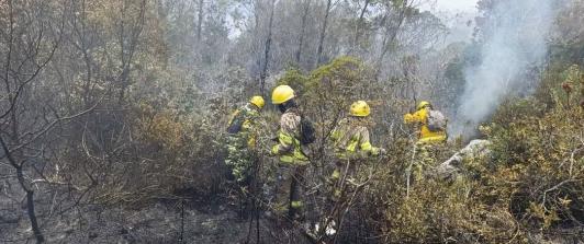 Incendio en el cerro de San Marcos está casi controlado, según confirmó la UNGRD
