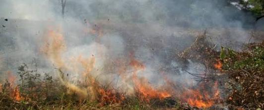 UNGRD activa plan nacional para combatir incendios forestales en 18 departamentos