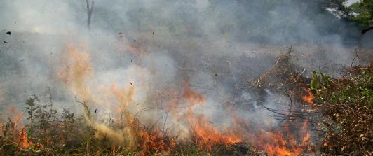 IDEAM declara fenómeno de El Niño en Colombia
