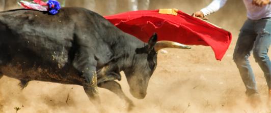Manizales aplaza Corridas De Toros por normativa nacional antitaurina