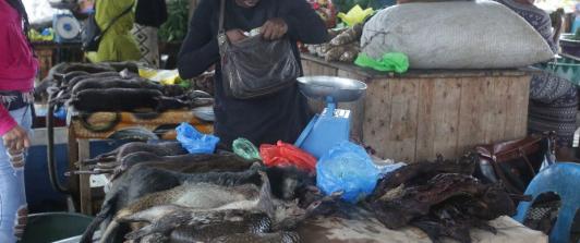 ANIMALES-MERCADO-1.jpg