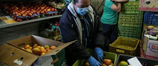 Alimentos-1.jpg