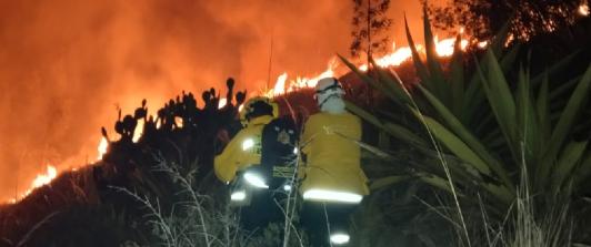 Autoridades-controlaron-incendio-forestal-de-Cerro-Gordo-en-Cundinamarca.jpg