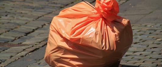 Basura-1536x994-1.jpg