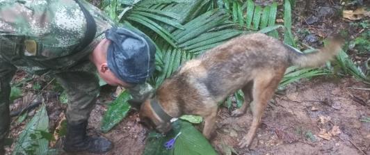 Busqueda-de-menores-en-Guaviare.jpg
