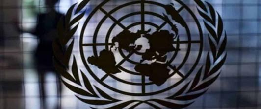 COP27-declaracion-de-la-ONU.jpg