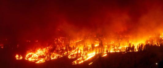 Cambio-climatico-ha-sido-determinante-en-ola-de-incendios-de-Canada-indico-estudio.jpg