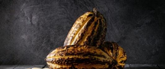 Colombia-pais-pionero-en-liderar-iniciativa-de-cacao-libre-de-deforestacion.jpg