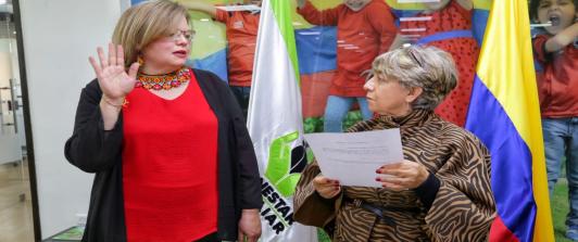 Directora-del-ICBF-renuncio.jpg