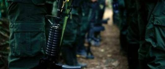 Disidencias-de-las-Farc-1.jpg