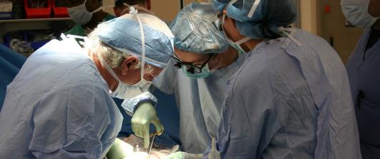 Donacion-organos.jpg