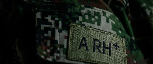 Ejercito-1.jpg