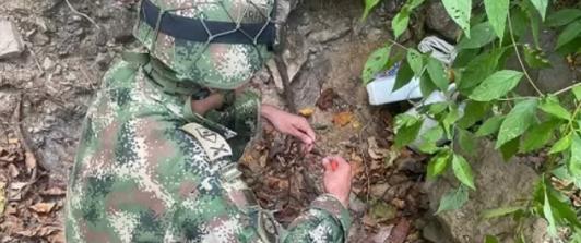 Ejercito-destruyo-tres-minas-antipersonales-en-Norte-de-Santander.jpg