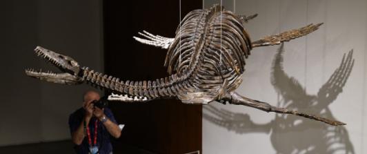 En-Nueva-York-dos-esqueletos-de-dinosaurio-se-venderan-en-subasta.jpg