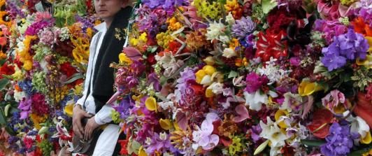 Feria-Flores-Medellin-2.jpg